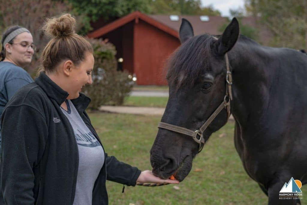 Adventure therapy helps patients work through their disease of addiction.