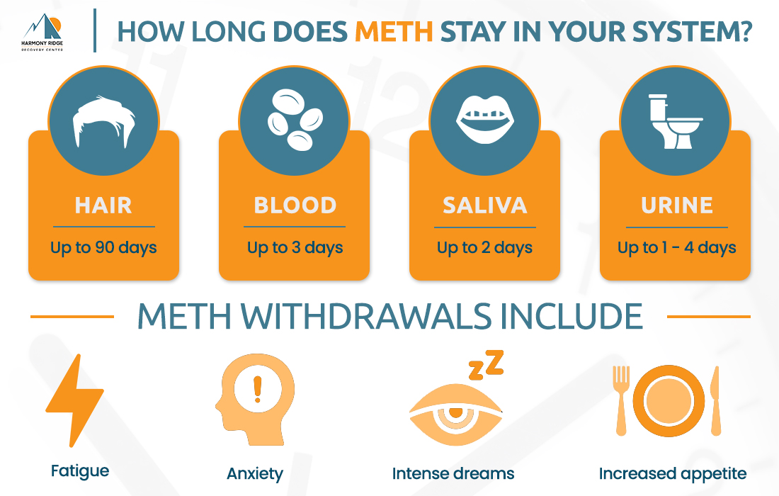 How Long Does Meth Stay In Your System Harmony Ridge Recovery