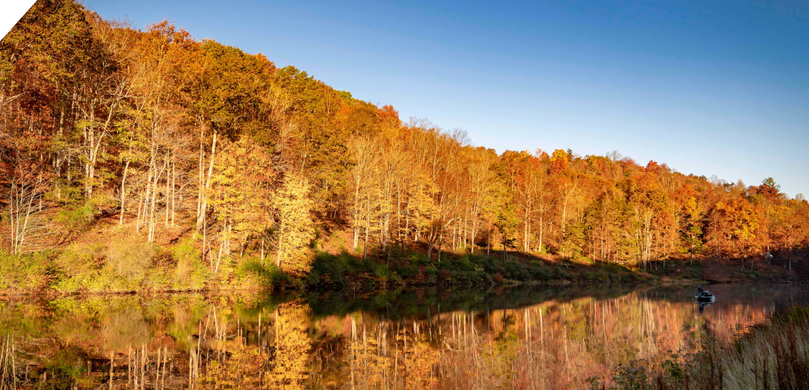 Woods and lake near alcohol rehab center Parkersburg WV