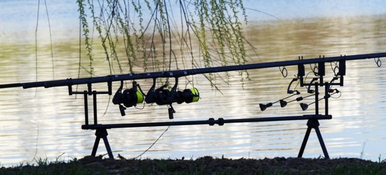 Sports equipment by a lake at a natural park.