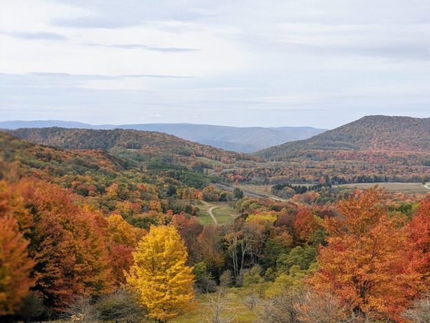 WV woods