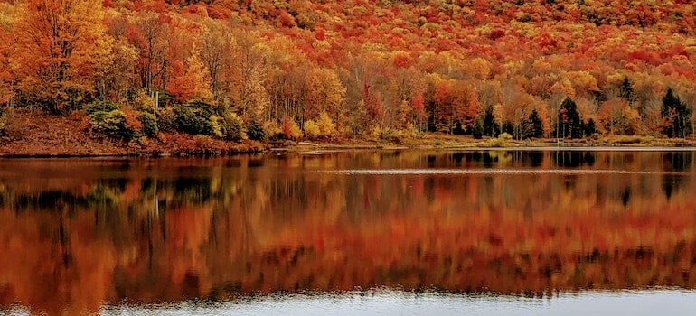 West Virginia nature in the fall.