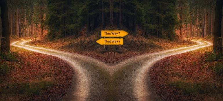 A crossing in a forest, with a signpost pointing to each side.