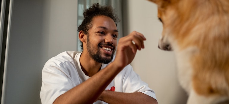 Person playing with a dog.
