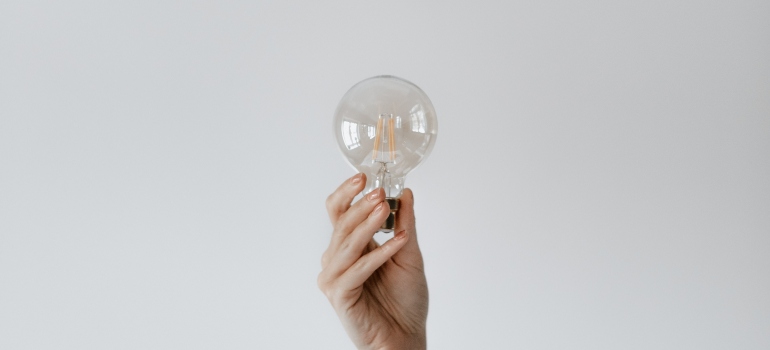 person holding a light bulb