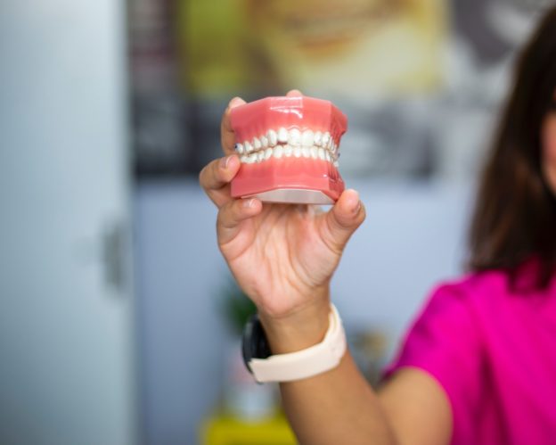 unrecognizable person holding teeth model