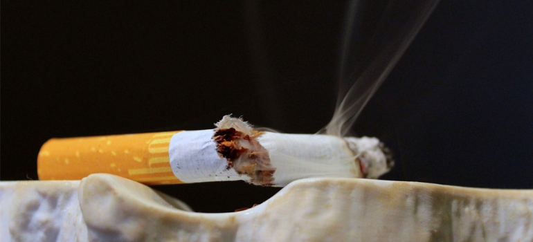 A close-up of a broken cigarette on an ashtray.