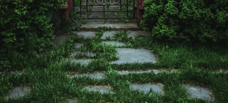 grassy road and a gate