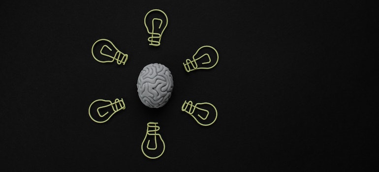 a model of the brain