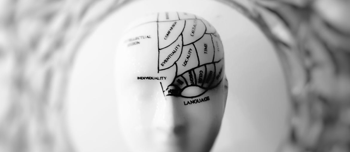 A scheme of brain functions.