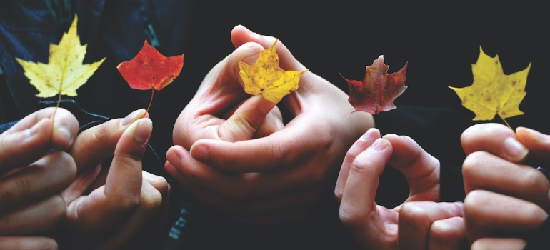 A close-up of people holding leaves, symbolizing hope in addressing the opioid epidemic in West Virginia.
