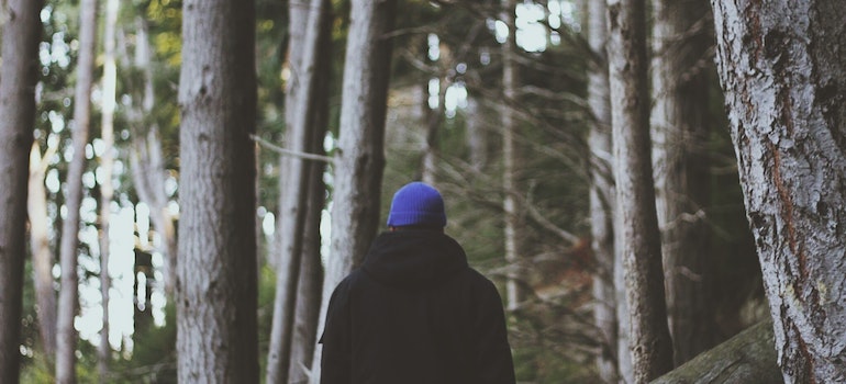 A man in the woods