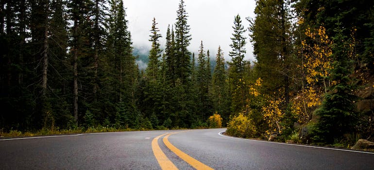 A road in a rural area