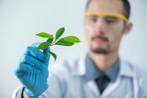 A doctor holding a herb representing Traditional Healing Practices and Addiction Recovery in WV
