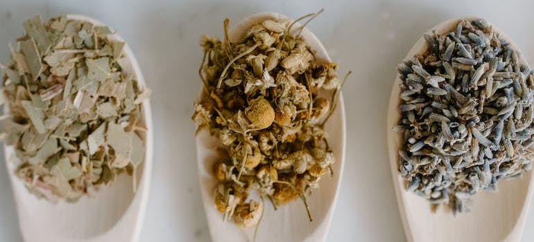 Herbal medicine on wooden spoons representing Traditional Healing Practices and Addiction Recovery in WV