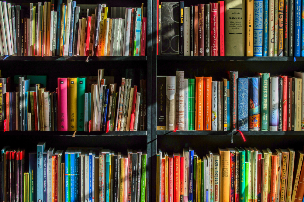 Books to Read While in Rehab