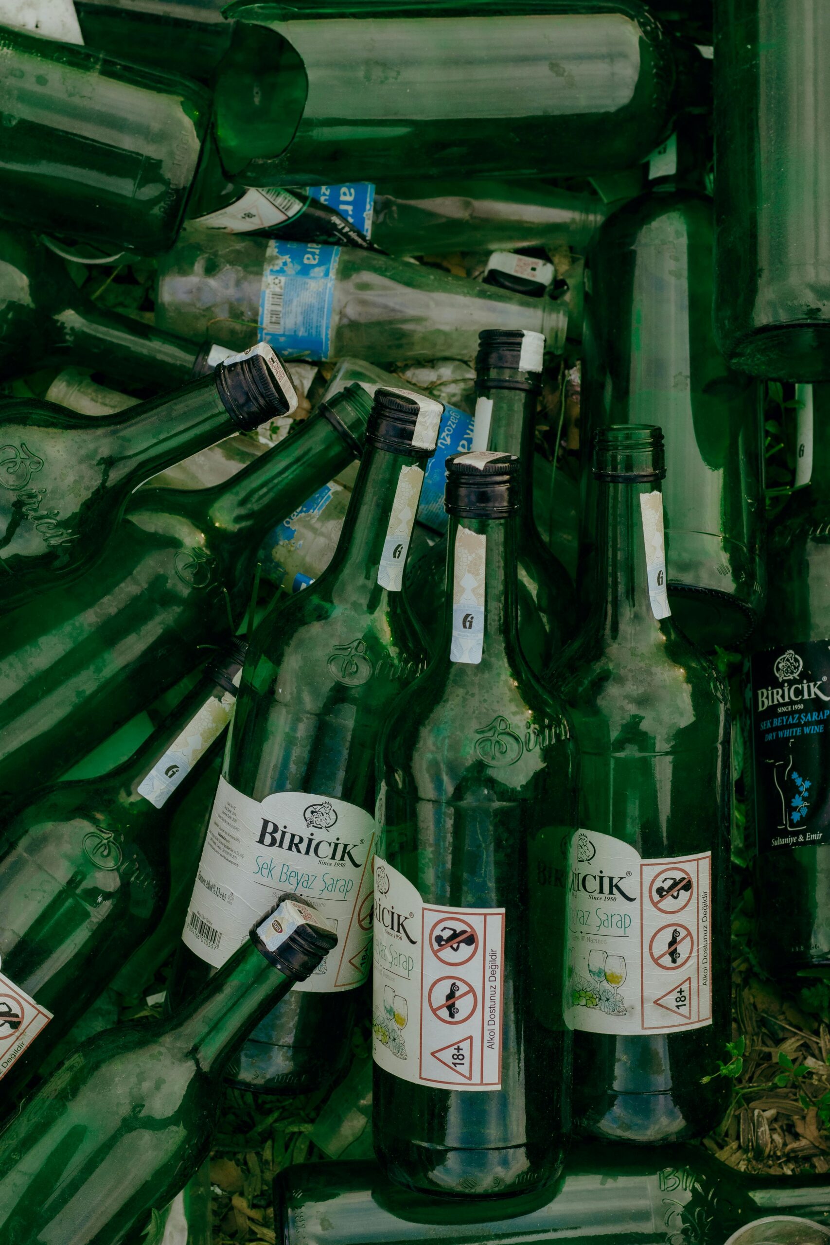 Exploring Addiction Susceptibility Across Generations
