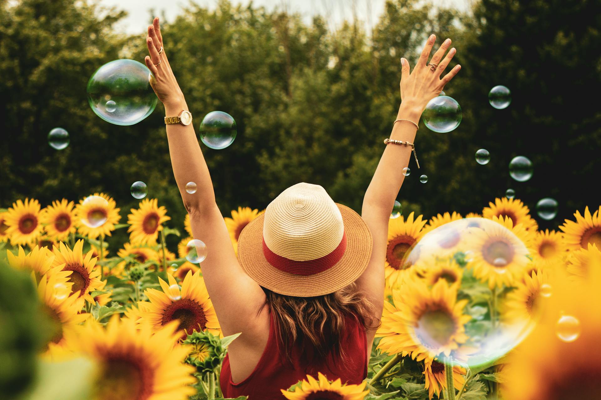 The Role of Life Satisfaction in Preventing Relapse in West Virginia