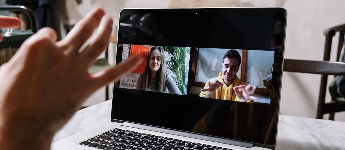 People meeting online.